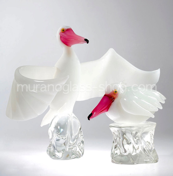 Pelican, White pelican