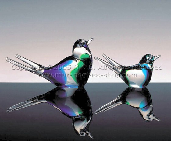 Swallow, Little swallow