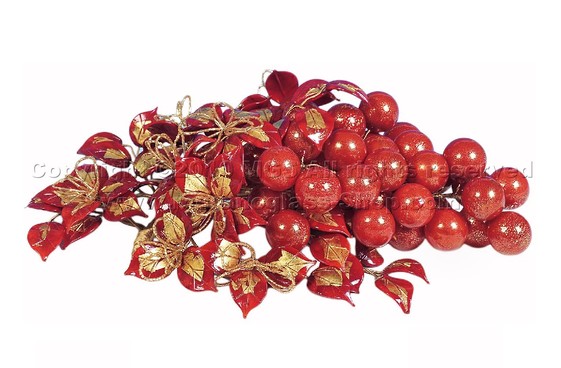 Blown grapes bunch with flowery branch, Bunch grape with blown branch flower