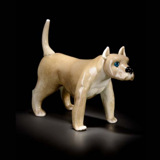 Amstaf, Glossy gray Amstaff 