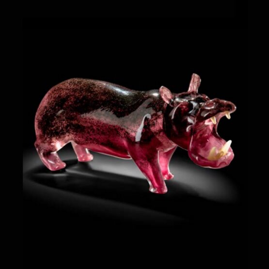 Hippopotamus, Ryby hippopotamus 