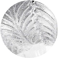 Crystal grit
